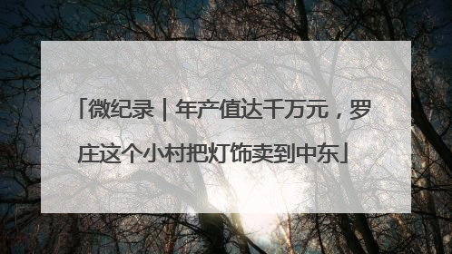 微纪录｜年产值达千万元，罗庄这个小村把灯饰卖到中东