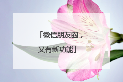 微信朋友圈，又有新功能