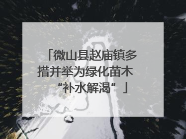 微山县赵庙镇多措并举为绿化苗木“补水解渴”