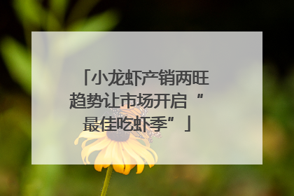 小龙虾产销两旺趋势让市场开启“最佳吃虾季”