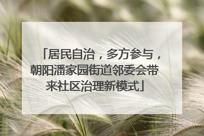 居民自治，多方参与，朝阳潘家园街道邻委会带来社区治理新模式