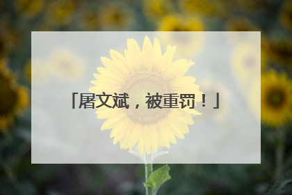 屠文斌，被重罚！