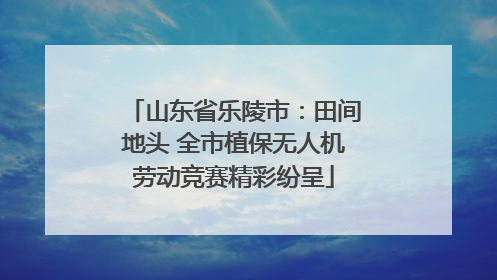 山东省乐陵市：田间地头 全市植保无人机劳动竞赛精彩纷呈