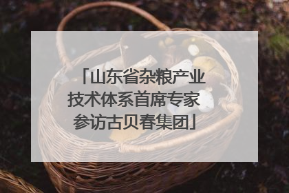 山东省杂粮产业技术体系首席专家参访古贝春集团