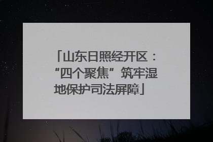 山东日照经开区：“四个聚焦”筑牢湿地保护司法屏障