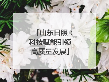 山东日照：科技赋能引领高质量发展
