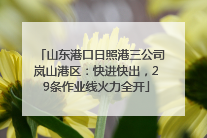 山东港口日照港三公司岚山港区：快进快出，29条作业线火力全开