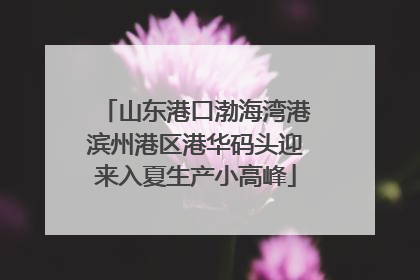 山东港口渤海湾港滨州港区港华码头迎来入夏生产小高峰