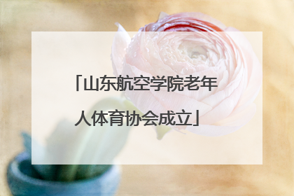 山东航空学院老年人体育协会成立