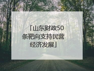 山东财政50条靶向支持民营经济发展