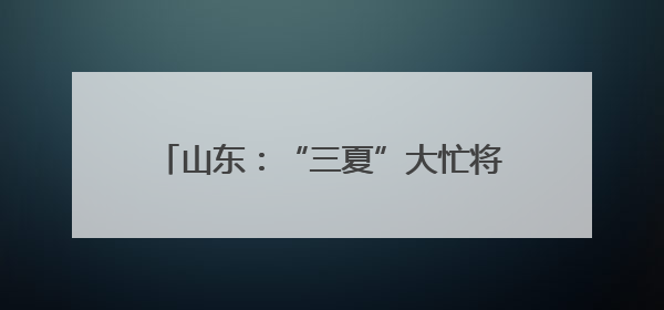 山东：“三夏”大忙将开始 机收减损在田间