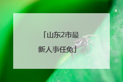 山东2市最新人事任免