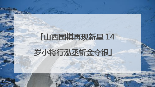 山西围棋再现新星 14岁小将行泓丞斩金夺银