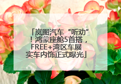 岚图汽车“听劝”！鸿蒙座舱5首搭，FREE+湾区车展实车内饰正式曝光