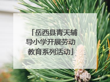 岳西县青天辅导小学开展劳动教育系列活动