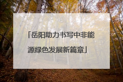 岳阳助力书写中非能源绿色发展新篇章