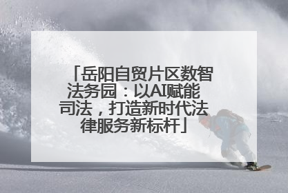 岳阳自贸片区数智法务园：以AI赋能司法，打造新时代法律服务新标杆