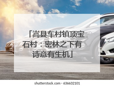 嵩县车村镇顶宝石村：密林之下有诗意有生机