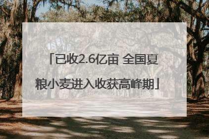 已收2.6亿亩 全国夏粮小麦进入收获高峰期