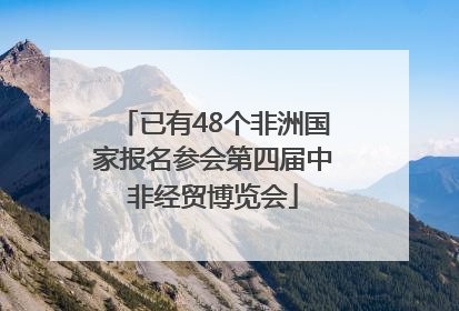 已有48个非洲国家报名参会第四届中非经贸博览会