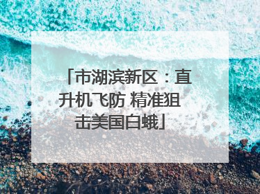 市湖滨新区：直升机飞防 精准狙击美国白蛾