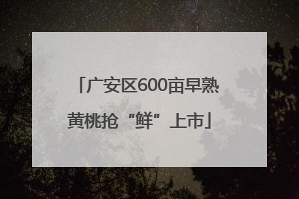 广安区600亩早熟黄桃抢“鲜”上市