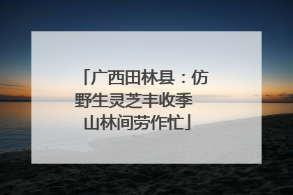 广西田林县：仿野生灵芝丰收季 山林间劳作忙