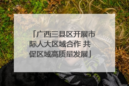 广西三县区开展市际人大区域合作 共促区域高质量发展