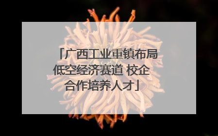 广西工业重镇布局低空经济赛道 校企合作培养人才