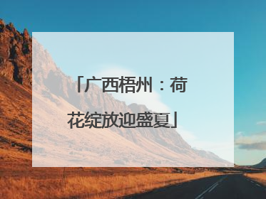 广西梧州：荷花绽放迎盛夏