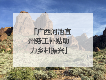 广西河池宜州务工补贴助力乡村振兴