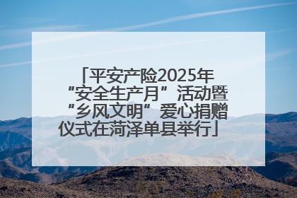 平安产险2025年“安全生产月”活动暨“乡风文明”爱心捐赠仪式在菏泽单县举行