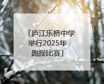 庐江乐桥中学举行2025年跑操比赛