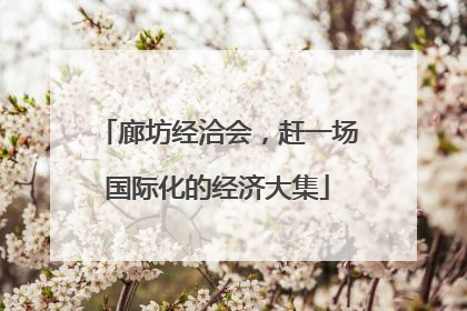 廊坊经洽会，赶一场国际化的经济大集