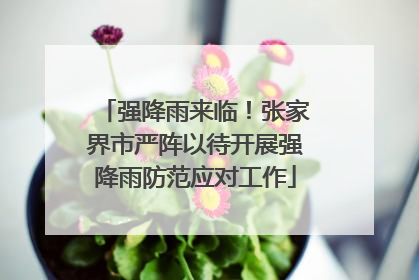 强降雨来临！张家界市严阵以待开展强降雨防范应对工作