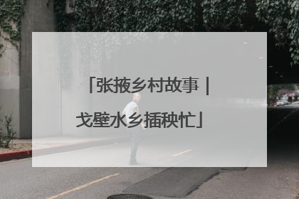 张掖乡村故事｜戈壁水乡插秧忙
