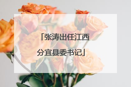 张涛出任江西分宜县委书记