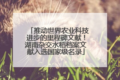 推动世界农业科技进步的里程碑文献！湖南杂交水稻档案文献入选国家级名录