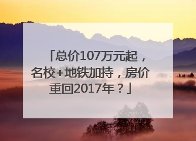 总价107万元起，名校+地铁加持，房价重回2017年？