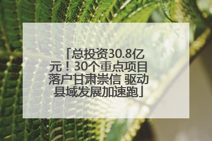 总投资30.8亿元！30个重点项目落户甘肃崇信 驱动县域发展加速跑