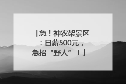 急！神农架景区：日薪500元，急招“野人”！