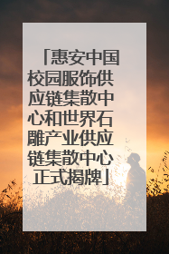 惠安中国校园服饰供应链集散中心和世界石雕产业供应链集散中心正式揭牌