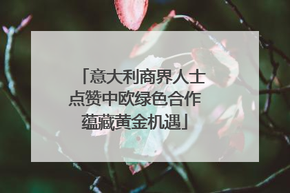 意大利商界人士点赞中欧绿色合作蕴藏黄金机遇