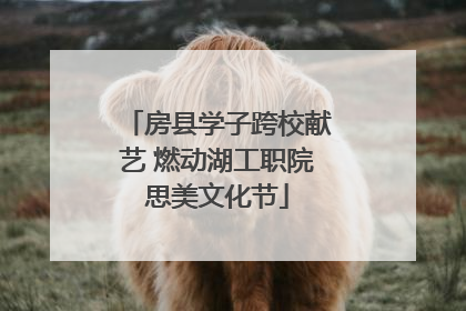 房县学子跨校献艺 燃动湖工职院思美文化节