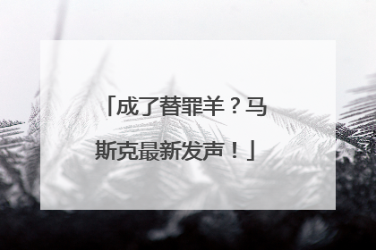 成了替罪羊？马斯克最新发声！