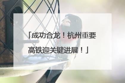 成功合龙！杭州重要高铁迎关键进展！