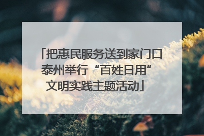 把惠民服务送到家门口 泰州举行“百姓日用”文明实践主题活动