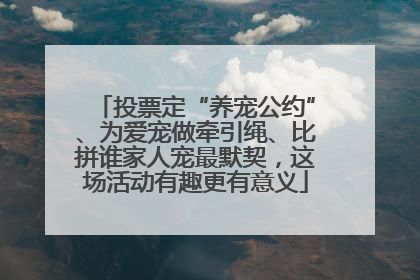投票定“养宠公约”、为爱宠做牵引绳、比拼谁家人宠最默契，这场活动有趣更有意义