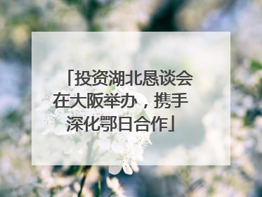 投资湖北恳谈会在大阪举办，携手深化鄂日合作