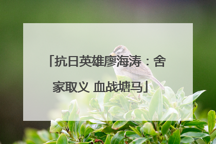 抗日英雄廖海涛：舍家取义 血战塘马